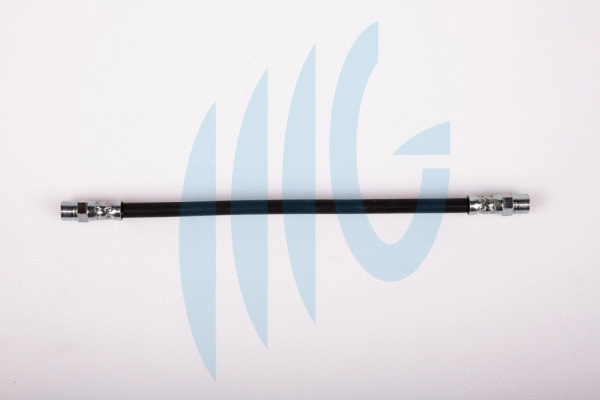 Brake Hose (02040231)