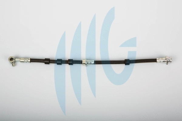 Brake Hose (02101103)