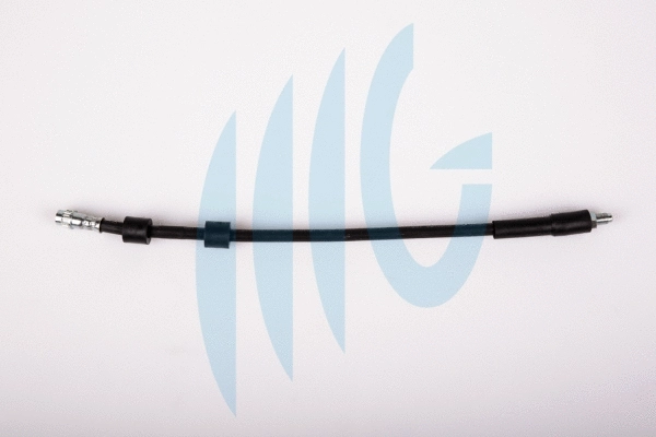 Brake Hose (02380543)