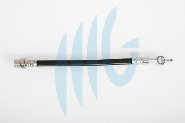 Brake Hose (02561187)