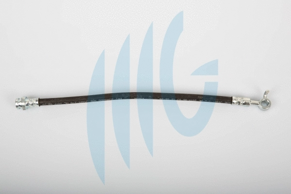 Brake Hose (02300897)