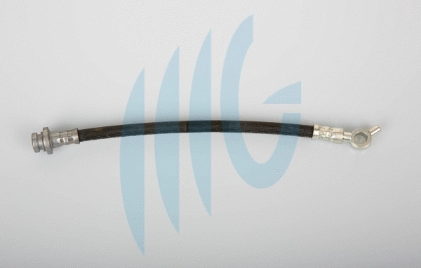 Brake Hose (02101095)