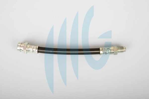 Brake Hose (02160957)