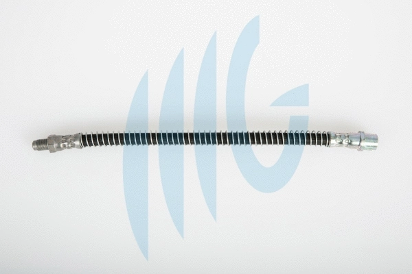 Brake Hose (02080464)