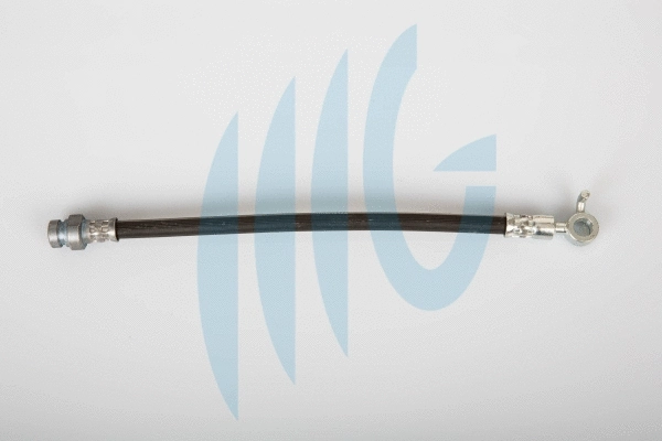 Brake Hose (02160921)
