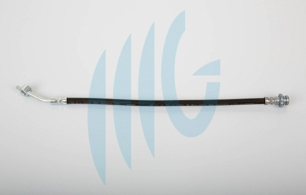 Brake Hose (02101179)