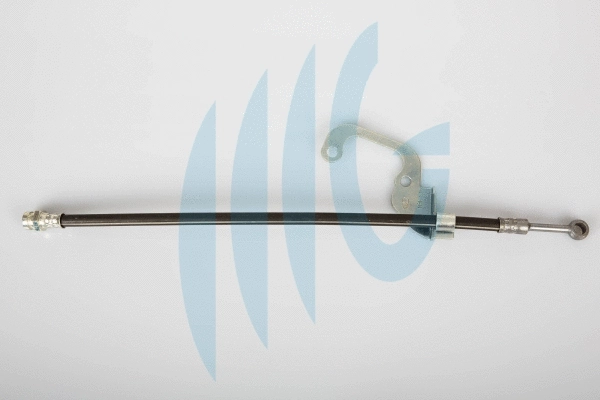 Brake Hose (02160905)