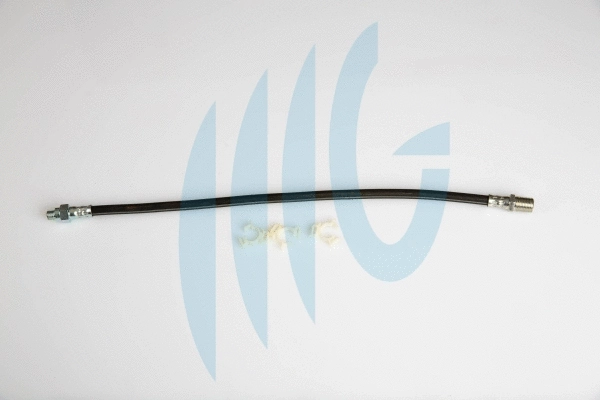 Brake Hose (02120215)