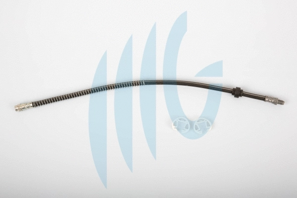 Brake Hose (02060269)