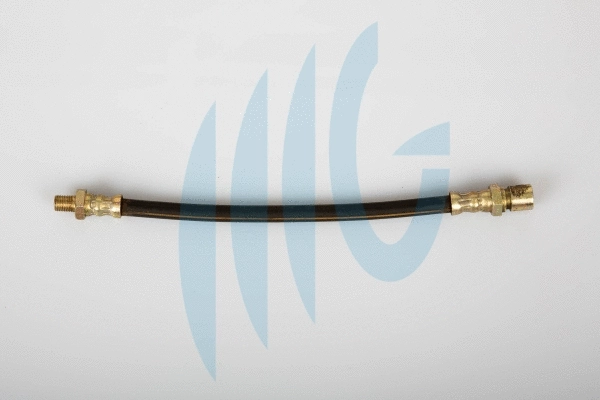 Brake Hose (02360444)