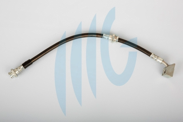 Brake Hose (02100738)