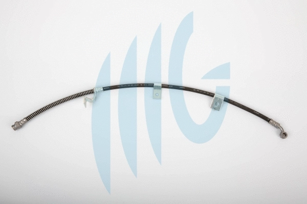 Brake Hose (02160895)