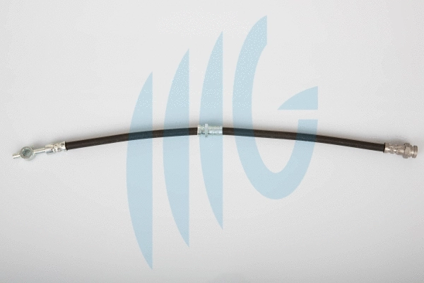 Brake Hose (02160916)