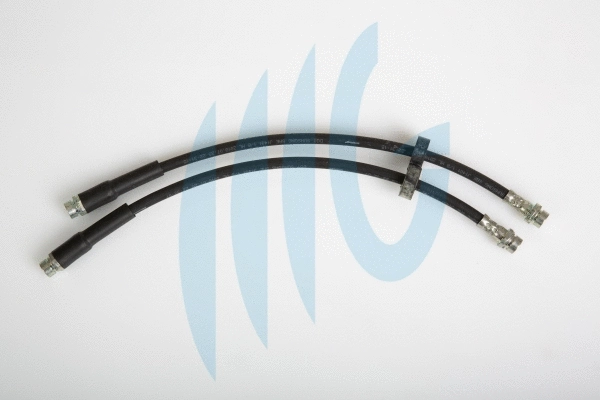 Brake Hose (02120184)