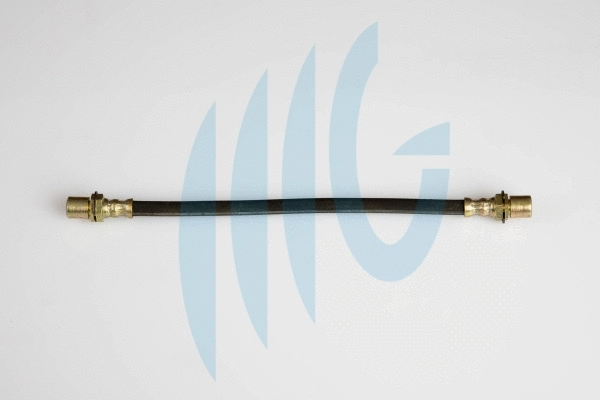 Brake Hose (02560995)