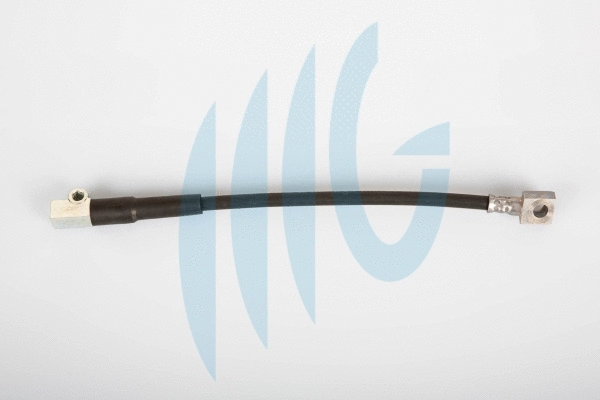 Brake Hose (02360479)