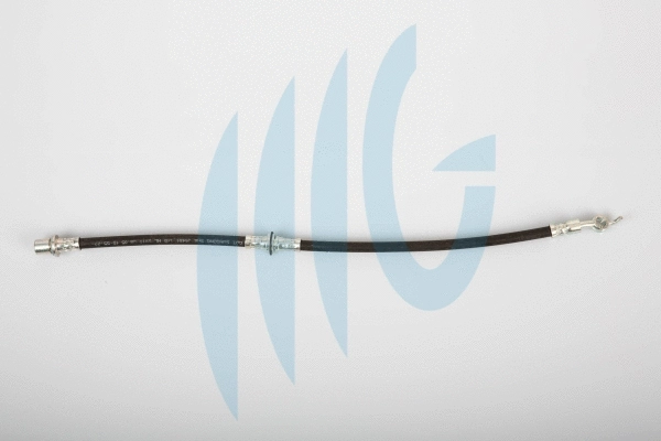 Brake Hose (02101106)