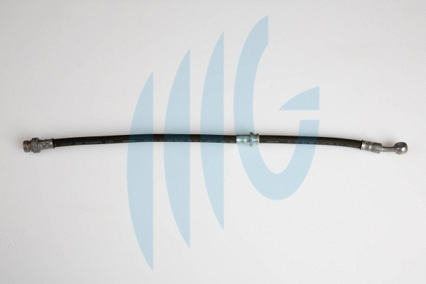 Brake Hose (02160872)