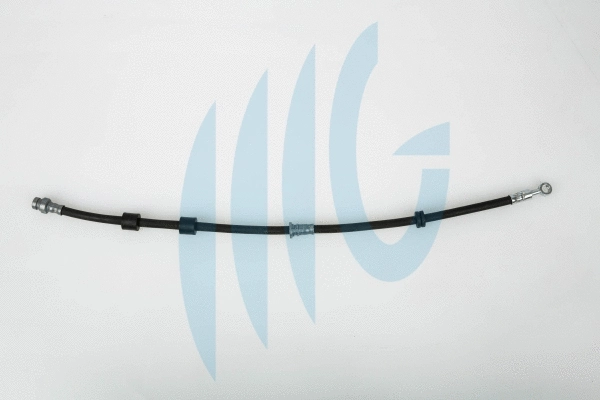 Brake Hose (02380555)
