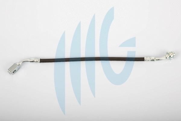 Brake Hose (02100789)