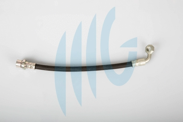 Brake Hose (02561073)