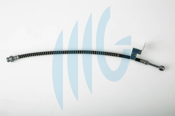 Brake Hose (02160908)