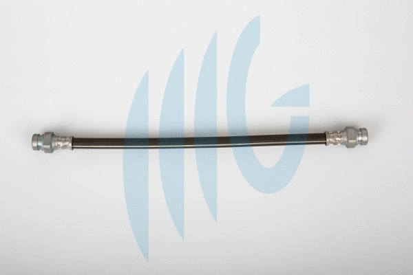 Brake Hose (02160918)