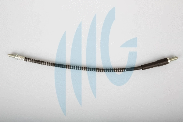 Brake Hose (02160841)