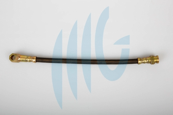 Brake Hose (02480914)