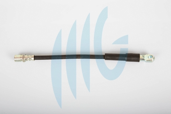 Brake Hose (02120131)