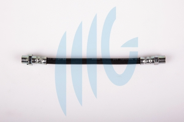 Brake Hose (02040236)