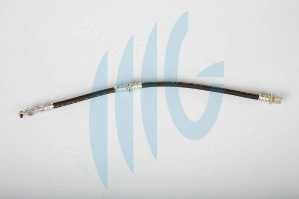 Brake Hose (02560984)