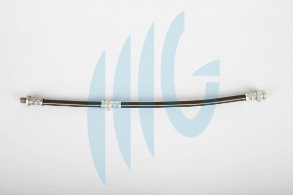 Brake Hose (02520972)