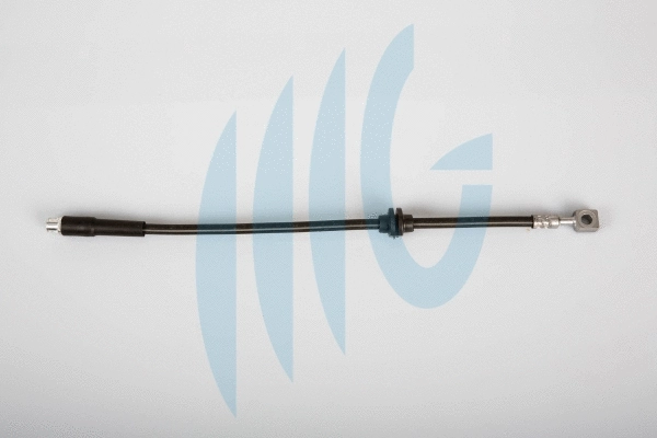 Brake Hose (02360536)
