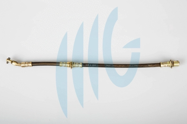 Brake Hose (02560973)