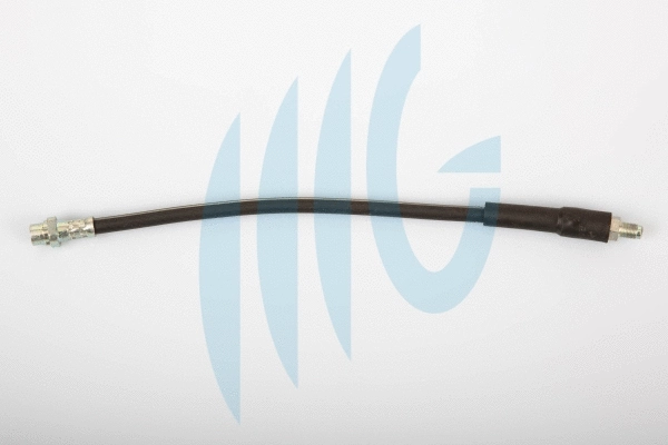 Brake Hose (02040247)