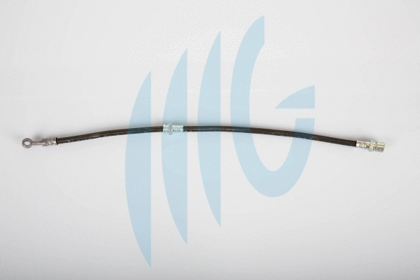 Brake Hose (02070014)