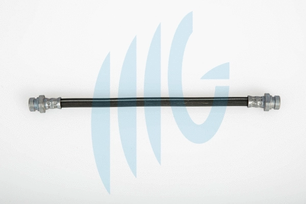 Brake Hose (02320879)