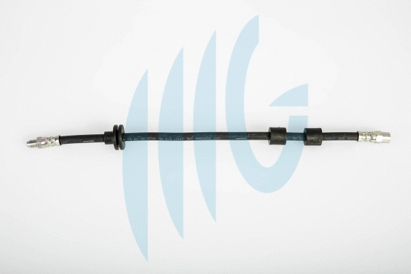 Brake Hose (02040238)