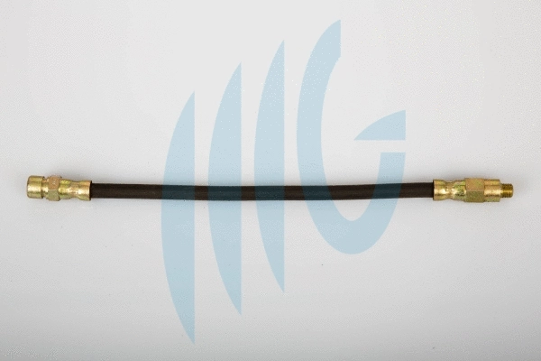 Brake Hose (02440559)