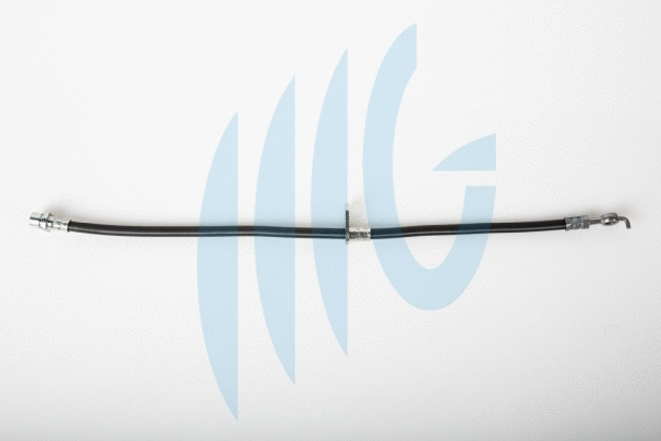 Brake Hose (02561037)