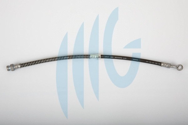 Brake Hose (02160930)