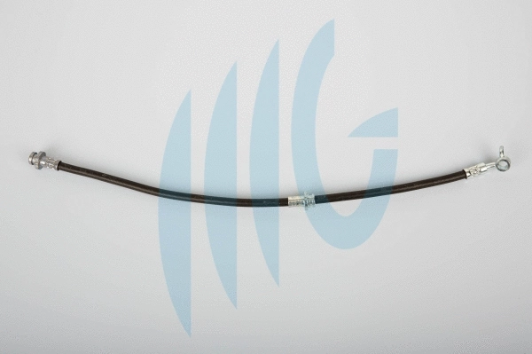 Brake Hose (02101156)