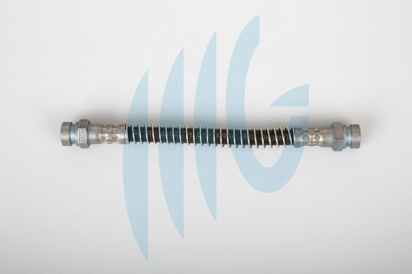Brake Hose (02160947)