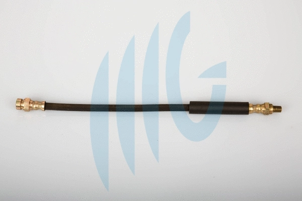 Brake Hose (02440560)