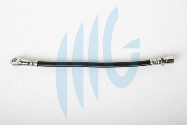 Brake Hose (02120151)