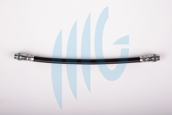 Brake Hose (02440576)