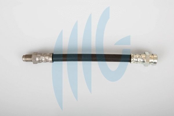 Brake Hose (02160838)