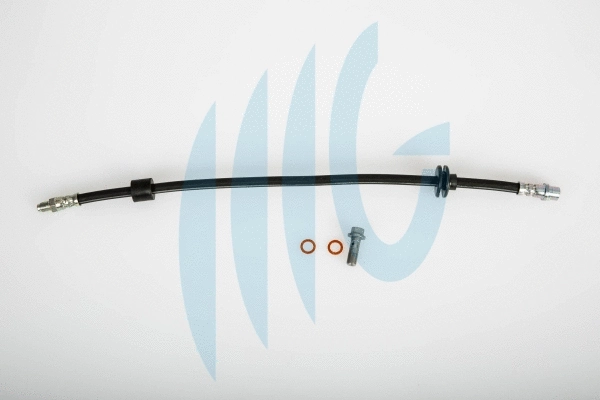 Brake Hose (02080450)