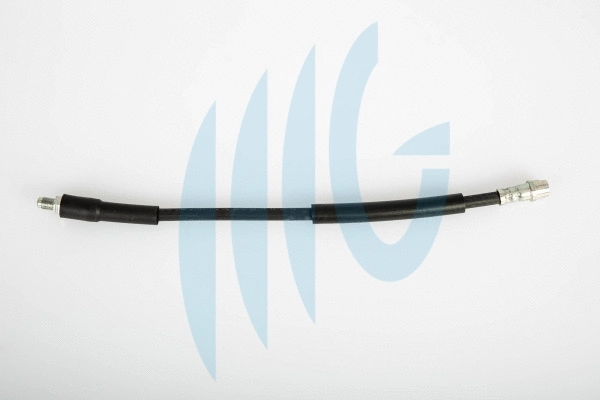 Brake Hose (02080447)